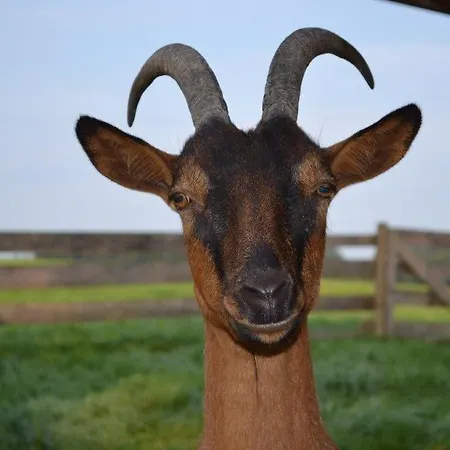 Farm stay Paulhof Am Chiemsee