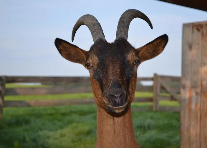 Farma Paulhof Am Chiemsee