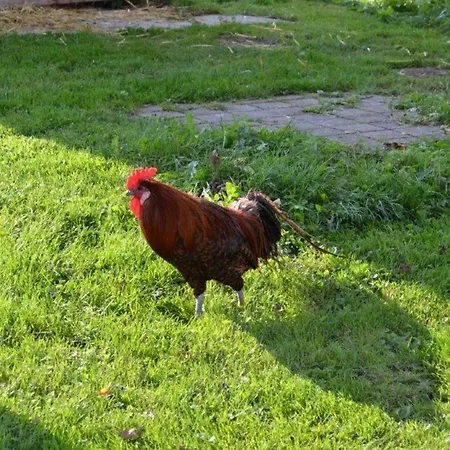 Paulhof Am Chiemsee *