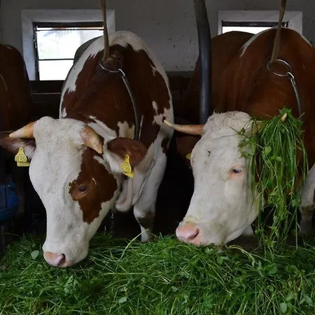 Paulhof Am Chiemsee * Seeon-Seebruck